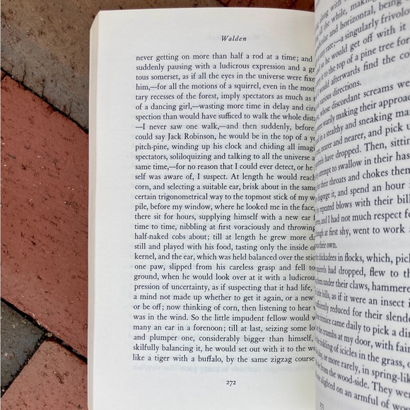 1962 Walden Henry David Thoreau Concord Massachusetts Nature Prose New England - Picture 3 of 7